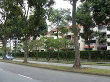 Chuan Park (D19), Condominium #1051972